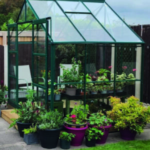 Greenhouse - Image 2